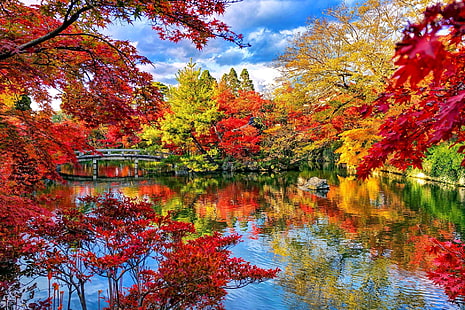 İnsan Yapımı, Japon Bahçesi, Köprü, Sonbahar, Yeşillik, Orman, Bahçe, Göl, Park, Ağaç, HD masaüstü duvar kağıdı HD wallpaper