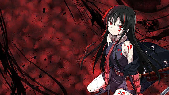 Akame ga Kill !, Akame, animeflickor, HD tapet HD wallpaper