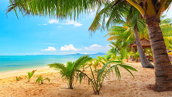 зеленые пальмы, небо, облака, пляж, пальмы, бунгало, море, лето, тропический, HD обои HD wallpaper