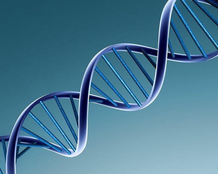 blue DNA illustration, dna, spiral, blue, mesh, HD wallpaper