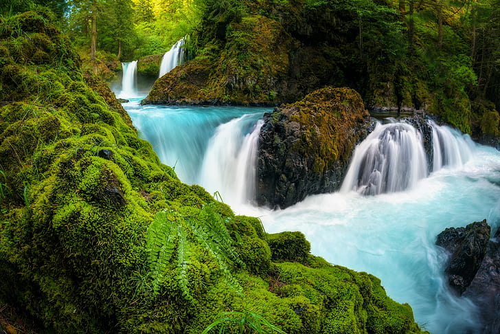 Spirit Falls, Columbia River Gorge, Washington, น้ำตกและหินสีน้ำตาล, หิน, วอชิงตัน, แม่น้ำ, ป่า, มอส, น้ำตก, น้ำตก, Spirit Falls, Columbia River Gorge, เฟิร์น, วอลล์เปเปอร์ HD