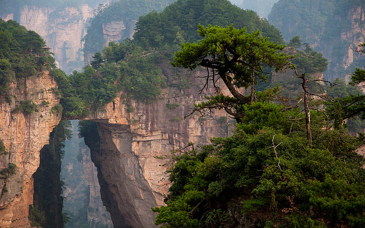 Parco nazionale, parco nazionale di Zhangjiajie, Cina, terra, paesaggio, montagna, roccia, albero, Sfondo HD