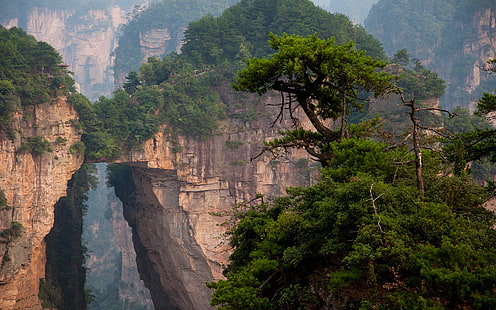 Parque Nacional, Parque Nacional Zhangjiajie, China, Tierra, Paisaje, Montaña, Roca, Árbol, Fondo de pantalla HD HD wallpaper
