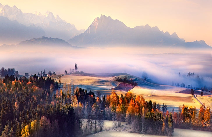 målning av berg och träd, foto av bergsträd och dimma, höst, morgon, dimma, Schweiz, berg, skog, dal, natur, landskap, HD tapet