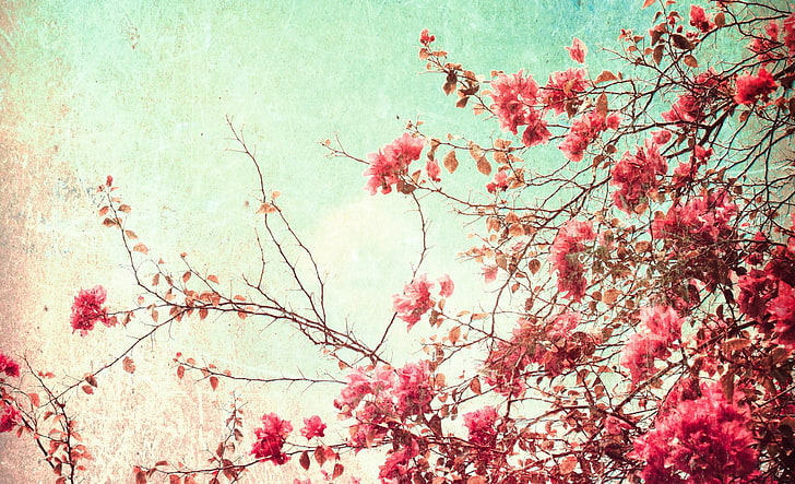 Vintage Blume Desktop-Hintergründe für den Winter, HD-Hintergrundbild