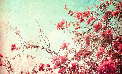Fonds d'écran de fleurs vintage pour l'hiver, Fond d'écran HD HD wallpaper