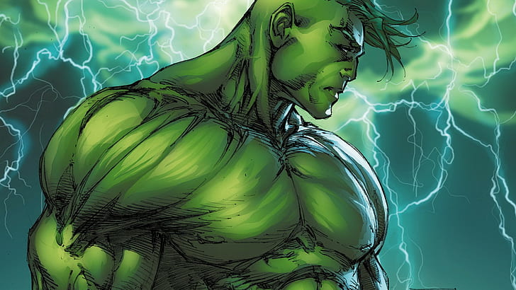 Hulk The Hulk HD, kartun / komik, the, hulk, Wallpaper HD