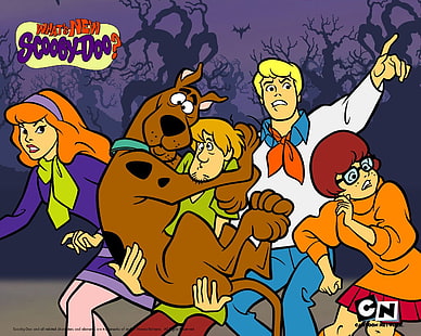 Scooby Doo? Tapety Cartoon Network, programy telewizyjne, Scooby-Doo, Scooby, Tapety HD HD wallpaper