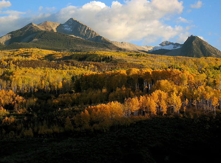 山、FS、UNK、風景写真、緑、黄色、葉、木、距離、山、秋の色、秋、自然、風景、風景、屋外、自然の美しさ、森の距離にある緑と黄色の葉の木の風景写真、 HDデスクトップの壁紙