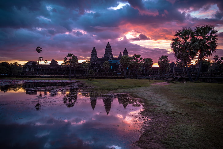 drzewa rosnące w pobliżu szklistego akwenu odbijającego chmury, krajobraz, wschód słońca, Kambodża, Angkor Wat, Tapety HD