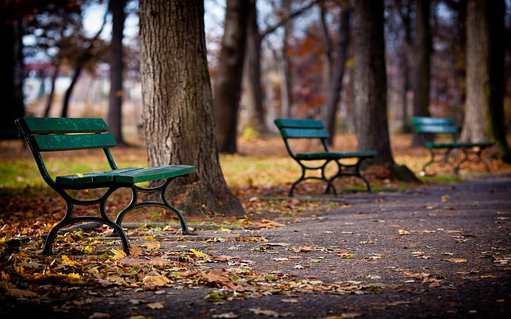 Park, walkway, bench, trees, autumn, green wooden bench, Park, Walkway, Bench, Trees, Autumn, HD wallpaper