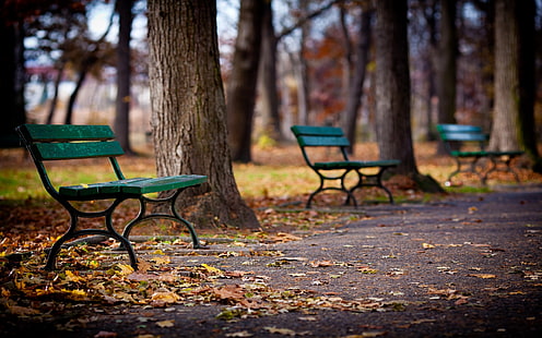 Park, walkway, bench, trees, autumn, green wooden bench, Park, Walkway, Bench, Trees, Autumn, HD wallpaper HD wallpaper