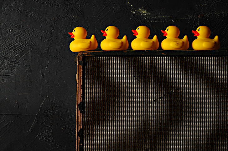 rubber ducks, still life, HD wallpaper