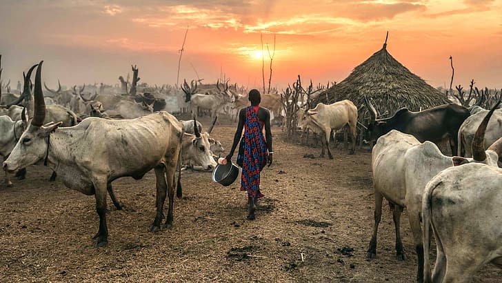 Terekeka, South Sudan, Against the Sun, HD wallpaper