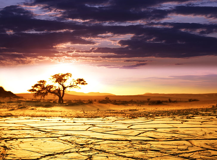 dry land, africa, lake, dead, drought, decline, clouds, HD wallpaper