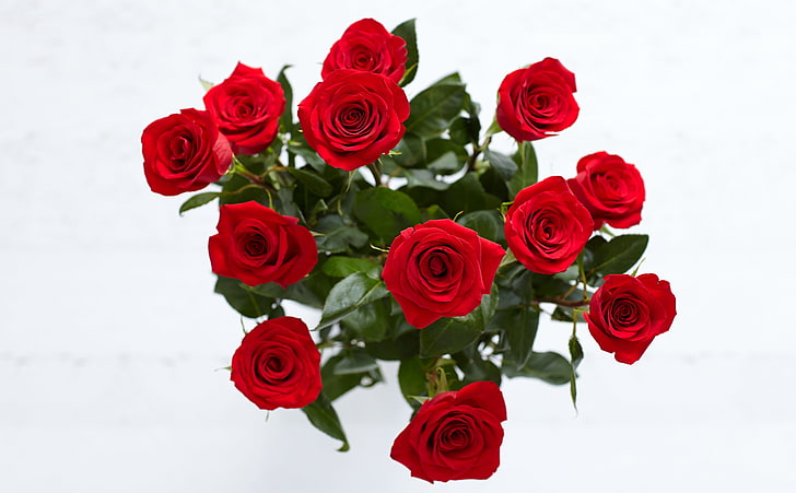 Red Roses, Aero, White, Beautiful, Love, Flowers, Rose, Present, Romantic, bouquet, Gift, floral, Fancy, valentinesday, overhead, redroses, proflowers, HD wallpaper
