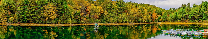 緑の葉の木、マサチューセッツ州、湖、水、空、反射、木、自然、風景、パノラマ、 HDデスクトップの壁紙