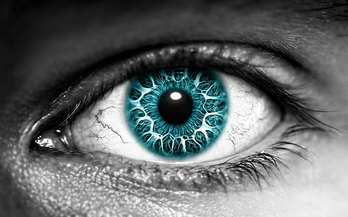 ilustracja niebieskiego oka osoby, oko, soczewka, źrenica, rzęsy, Tapety HD HD wallpaper