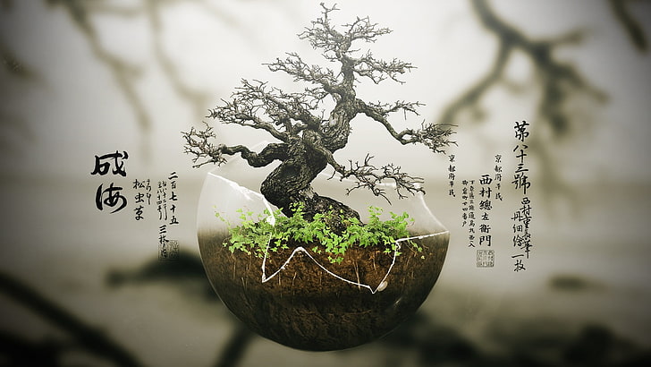 зелено бонсай дърво, бонсай, дървета, дигитално изкуство, растения, природа, HD тапет