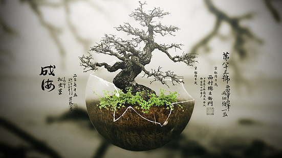 зелено бонсай дърво, бонсай, дървета, дигитално изкуство, растения, природа, HD тапет HD wallpaper