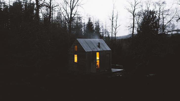 landscape, trees, forest, house, shack, dark, filter, cabin, deep forest, HD wallpaper