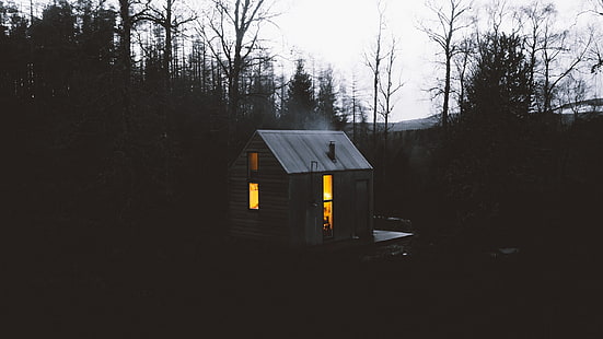 krajobraz, drzewa, las, dom, buda, ciemność, filtr, kabina, głęboki las, Tapety HD HD wallpaper
