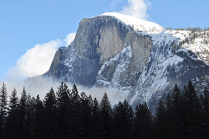 сива и бяла планина, зима, Национален парк Йосемити, Ел Капитан, САЩ, планини, дървета, природа, сняг, HD тапет