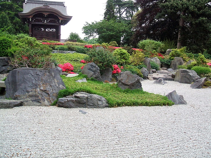 زهور جميلة حديقة يابانية طبيعة أخرى عالية الدقة فن أحمر جميل زهور ورمل وخضر وحديقة يابانية، خلفية HD