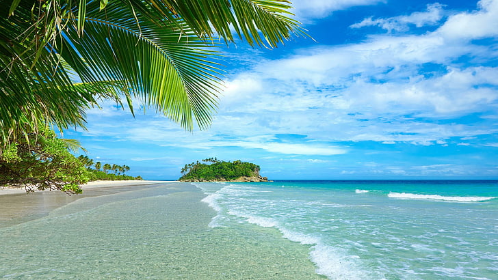 тропический, пляж, пальма, голубое небо, экзотика, путешествие, остров, горизонт, пейзаж, декорации, лето, удивительно, потрясающий, HD обои