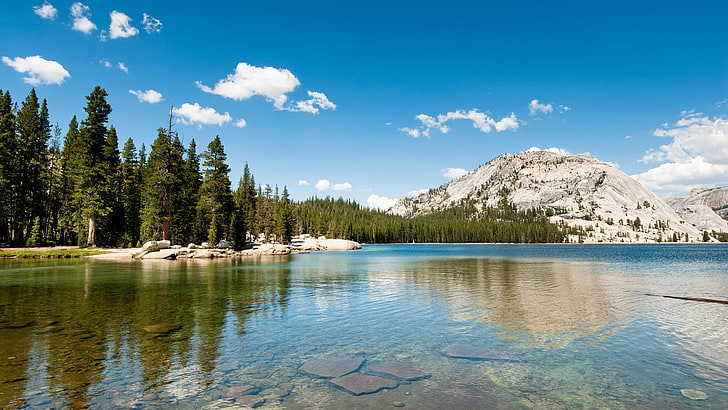 zielone drzewa wraz z wodą, krajobraz, przyroda, jezioro, wzgórza, las, sosny, Park Narodowy Yosemite, Kalifornia, Tapety HD