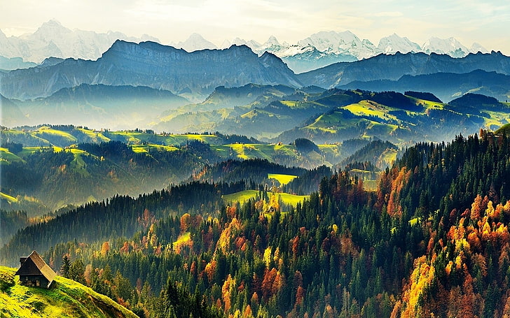 аэрофотосъемка горы и деревьев, природа, пейзаж, домик, горы, лес, осень, туман, снежная вершина, сосны, солнечный свет, утро, Швейцария, HD обои