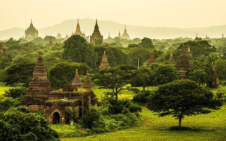 緑の葉の木、自然、風景、ミャンマー、寺院、修道院、仏教、熱帯、木、草、霧、緑、ジャングル、古い建物、建築、 HDデスクトップの壁紙
