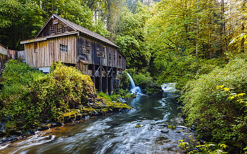 woodenhouse near river between trees, History, Flows, river, trees, nature, creek, Pacific Northwest, grist mill, historic, Canon EOS 5D Mark III, Canon EF, 35mm, 4L, john, westrock, washington, forest, waterfall, stream, water, tree, outdoors, HD wallpaper HD wallpaper