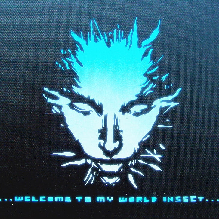 quote, Shodan, System Shock 2, face, HD wallpaper