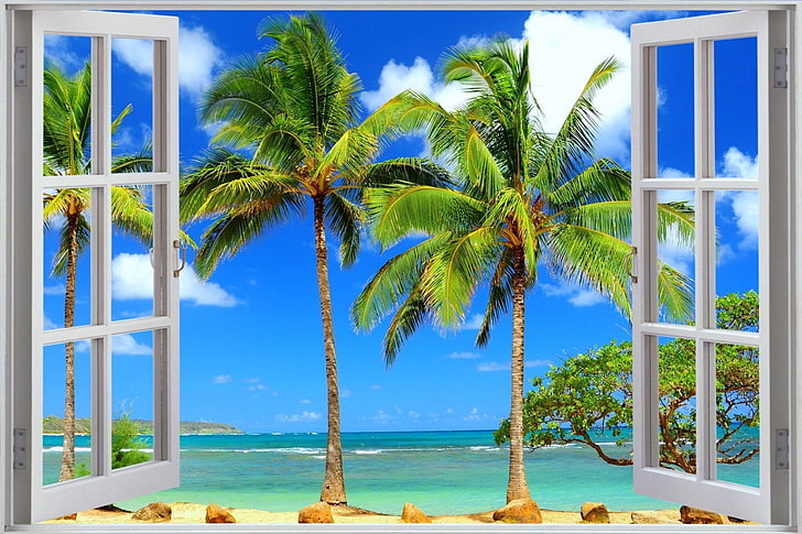 صنع الإنسان ، النافذة ، الشاطئ ، المحيط ، شجرة النخيل ، الاستوائية، خلفية HD