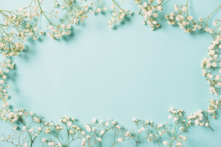Flores, fondo, marco, blanco, primavera, floral, Fondo de pantalla HD |  Wallpaperbetter