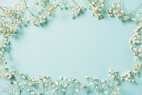  flowers, background, frame, white, spring, floral, HD wallpaper HD wallpaper