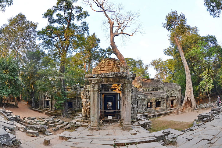 ангкор, камбоджа, кхмерска империя, сием жънене, та прохм, храм, HD тапет