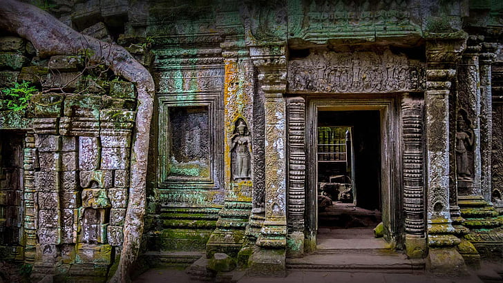 руини, Камбоджа, храмът на TA Prum, Агар, HD тапет