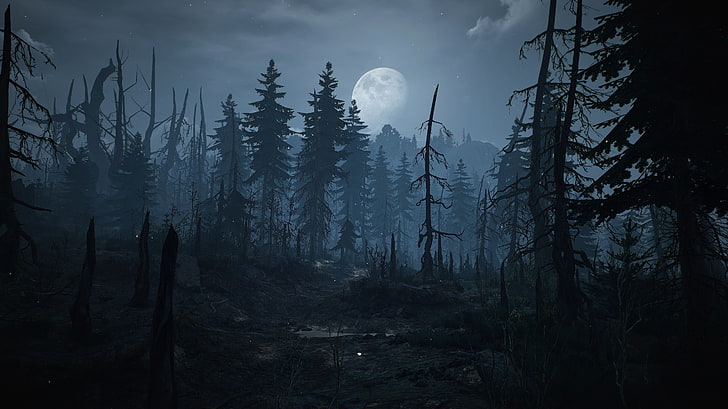 The Witcher 3: Wilde Jagd, Skellige, HD-Hintergrundbild
