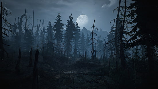 The Witcher 3: Wilde Jagd, Skellige, HD-Hintergrundbild HD wallpaper