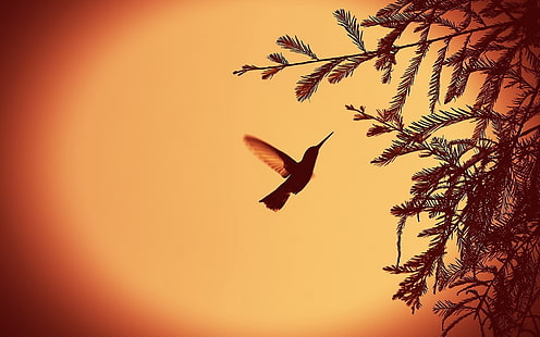 hummingbirds, birds, leaves, vignette, animals, HD wallpaper HD wallpaper