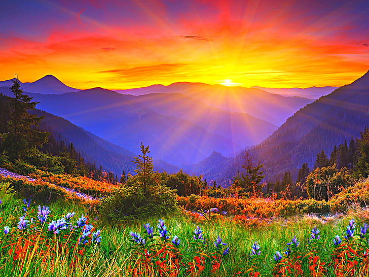 Sonnenaufgang, Morgendämmerung, Berge, Gras, Blumen, Sonnenaufgang, Morgendämmerung, Berge, Gras, Blumen, HD-Hintergrundbild