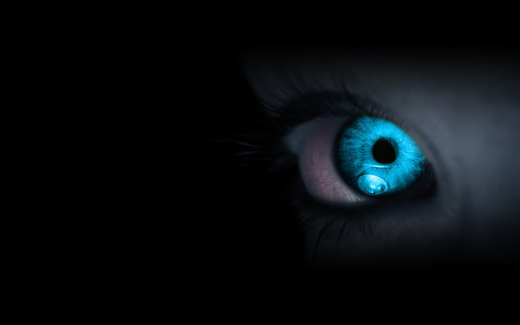 eyes, blue eyes, HD wallpaper