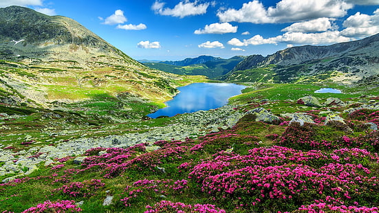 naturaleza, paisaje, nubes, cielo, flores rosadas, rocas, montañas, lago, rododendro, Rumania, Parque Nacional Retezat, Fondo de pantalla HD HD wallpaper