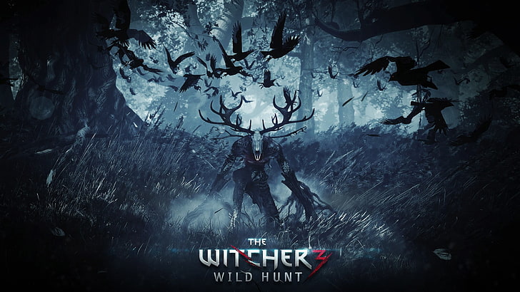 Wallpaper The Witcher 3 Wild hunt, The Witcher, video game, The Witcher 3: Wild Hunt, Wallpaper HD