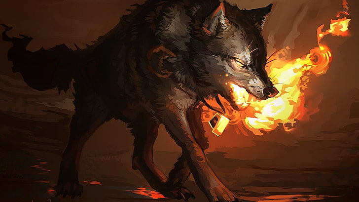 fire, wolf, HD wallpaper