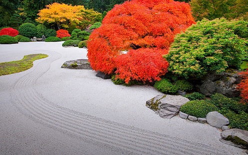 Japoński ogród, Tapety HD HD wallpaper