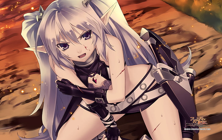 agarest, pointed ears, record, scratches, silver hair, war, HD wallpaper