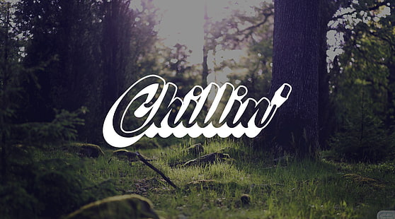 Chillin Forest, Chillin 'text overlay, Artistic, Typography, chillin, гора, природа, дизайн, HD тапет HD wallpaper